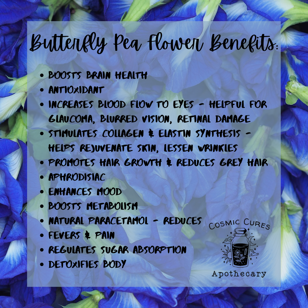 Blue Butterfly Pea Flower